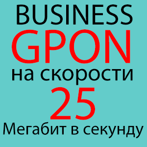 GPON BUSINESS 25