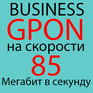 GPON BUSINESS 85