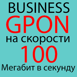 GPON BUSINESS 100