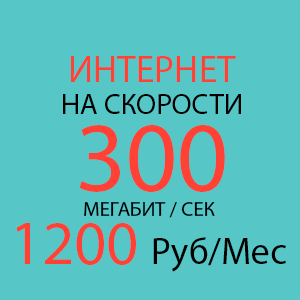 СТАРТ GPON 300